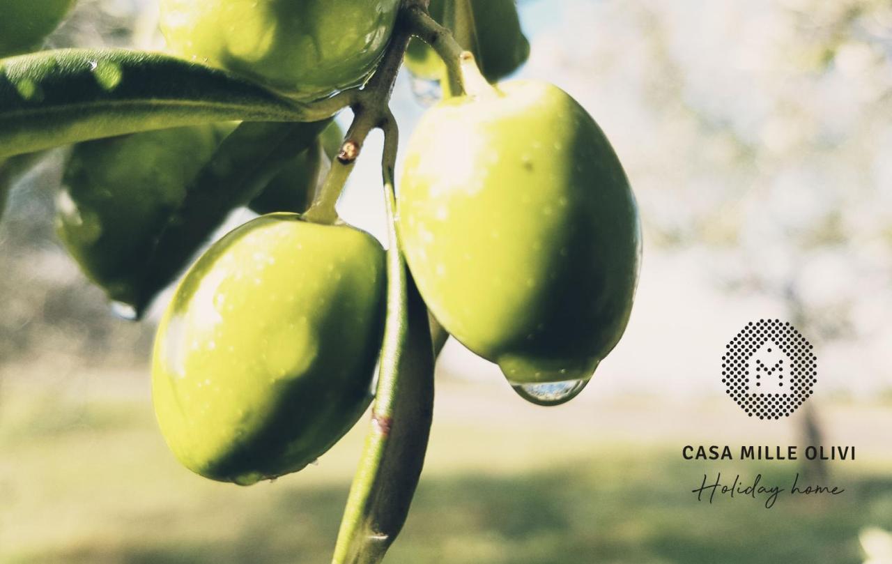 فيلا Casa Mille Olivi بوزت المظهر الخارجي الصورة